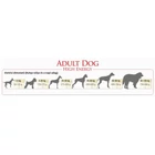 Kép 2/3 - Etetési útmutató