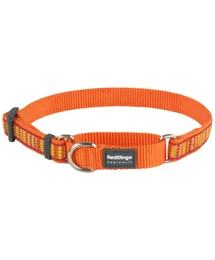Red Dingo Lotzadotz orange Small Martingale nyakörv Red Dingo Lotzadotz orange Small Martingale nyakörv
