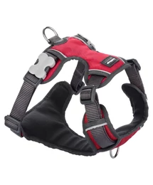 Red Dingo Padded dog hám XS Red Red Dingo Padded dog hám XS Red