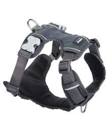 Red Dingo Padded dog hám Medium Grey Red Dingo Padded dog hám Medium Grey