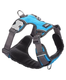Red Dingo Padded dog hám Medium Turquoise Red Dingo Padded dog hám Medium Turquoise