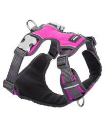 Red Dingo Padded dog hám Medium Hot Pink Red Dingo Padded dog hám Medium Hot Pink