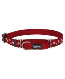 Red Dingo Stars Red Medium Martingale nyakörv