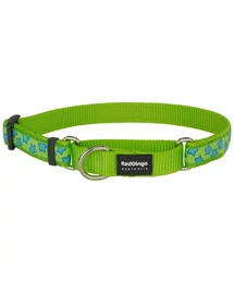 Red Dingo Stars Lime Medium Martingale nyakörv