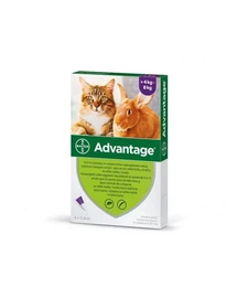 ADVANTAGE SPOT-ON CAT 0,8ML (4KG-TÓL) 4X ADVANTAGE SPOT-ON CAT 0,8ML (4KG-TÓL) 4X