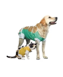 MŰTÉT UTÁNI RUHA KUNA SZUKA S 28CM MŰTÉT UTÁNI RUHA KUNA SZUKA S 28CM