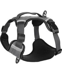 FLAMINGO HÁM HERON SZÜRKE 2,5X34-49CM