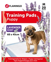 Flamingo kutyapelenka levend 60x45 20x