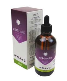 VETGUARD BELSŐLEGES OLDAT 120 ML