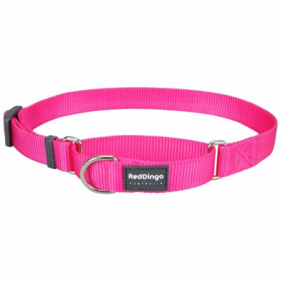 Red Dingo Hot Pink Small Martingale nyakörv