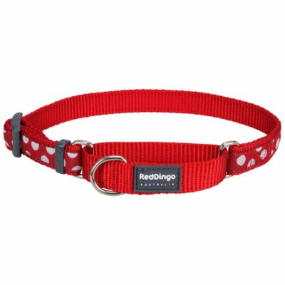 Red Dingo White Spots Red Small Martingale nyakörv