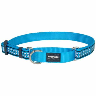 Red Dingo Reflective Turquoise Small Martingale nyakörv