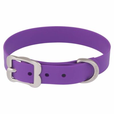 Red Dingo Vivid Purple XS kutya nyakörv / 20-25 cm