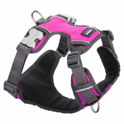 Red Dingo Padded dog hám Small Hot Pink