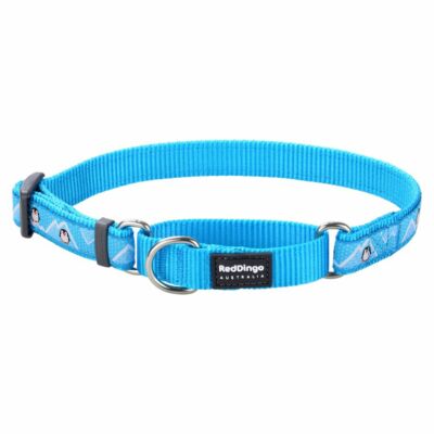 Red Dingo Penguin Turquoise Small Martingale nyakörv