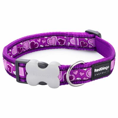 Red Dingo Breezy Love Purple XS kutya nyakörv