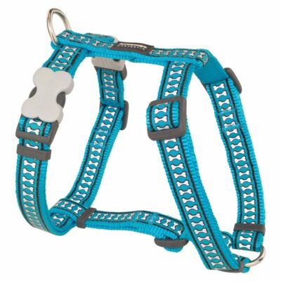 Red Dingo Reflective Turquoise Small Dog hám
