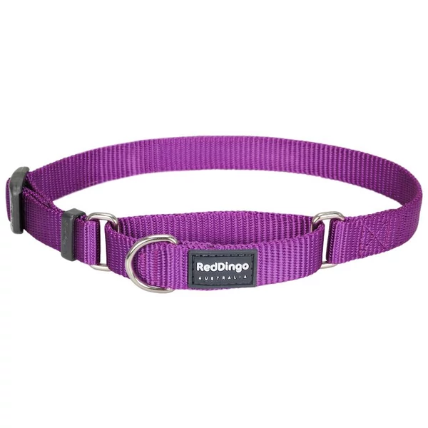 Red Dingo Purple Small Martingale nyakörv