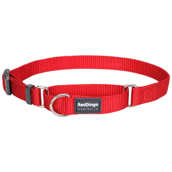 Red Dingo Red Small Martingale nyakörv