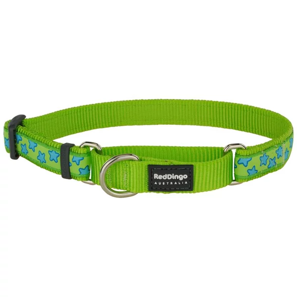 Red Dingo Stars Lime Small Martingale nyakörv