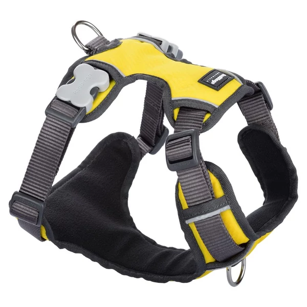 Red Dingo Padded dog hám XLarge Yellow