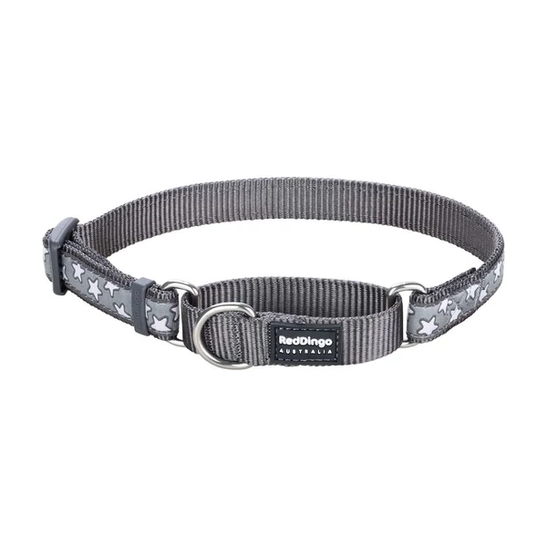 Red Dingo Stars Grey Large Martingale nyakörv