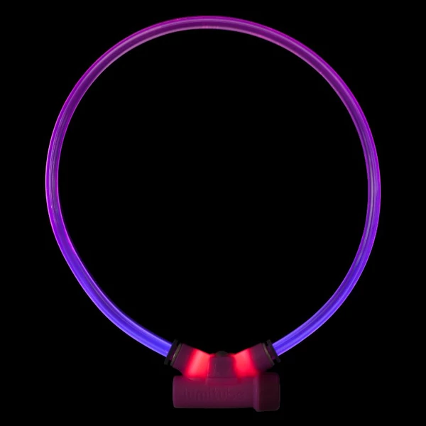 Red Dingo Lumitube purple kutya nyakörv 15-80 cm