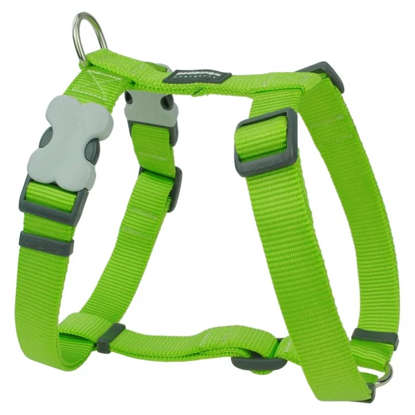 Red Dingo Lime Large Dog hám