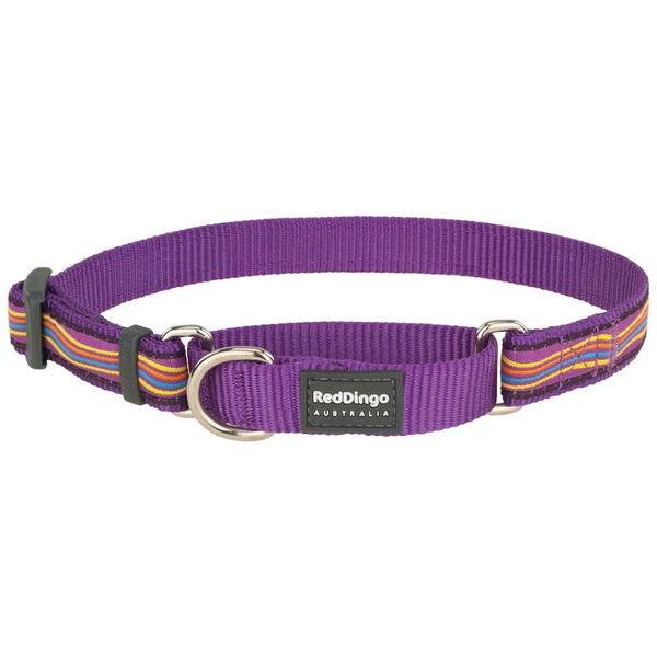 Red Dingo Dreamstream Purple Medium Martingale nyakörv
