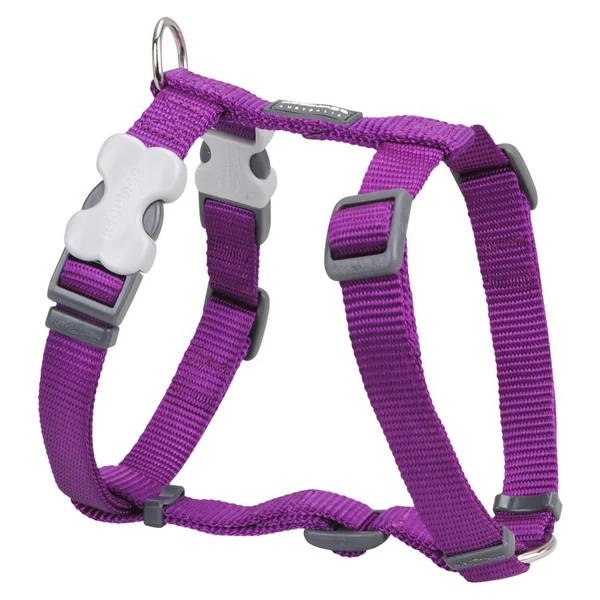 Red Dingo Purple Small Dog hám