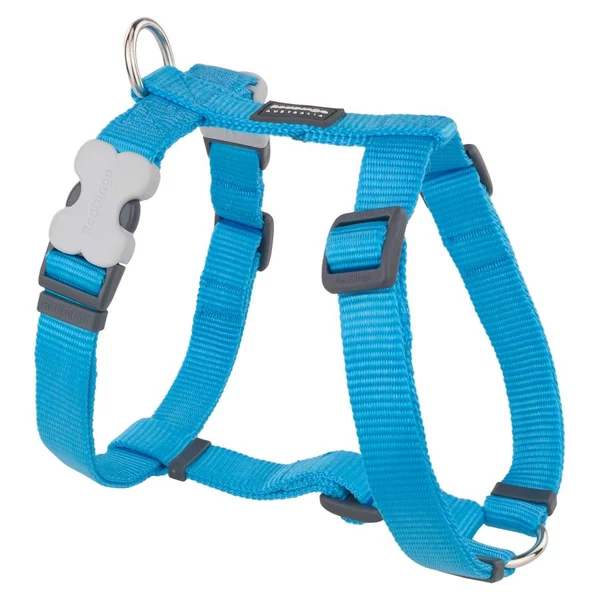 Red Dingo Turquoise Small Dog hám