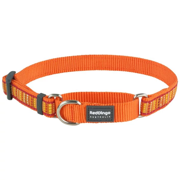 Red Dingo Lotzadotz orange Large Martingale nyakörv