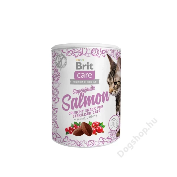 Brit Care Cat Snack Superfruits salmon 100g