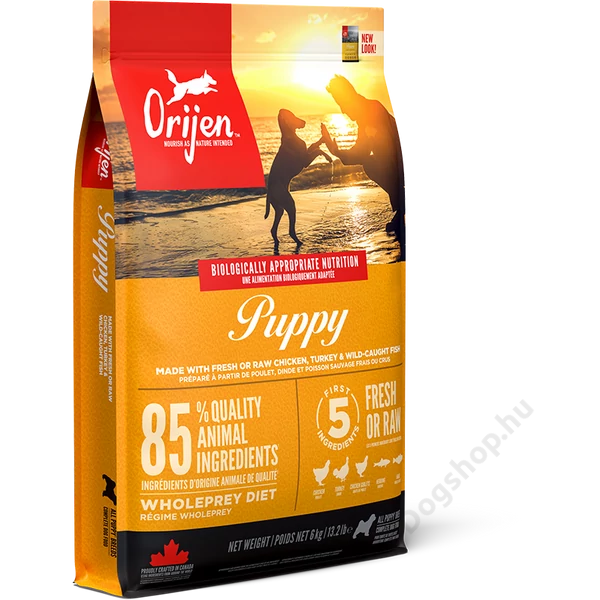 NS-ORI-dog-puppy-fr-lg.jpg NS-ORI-dog-puppy-fr-lg.jpg