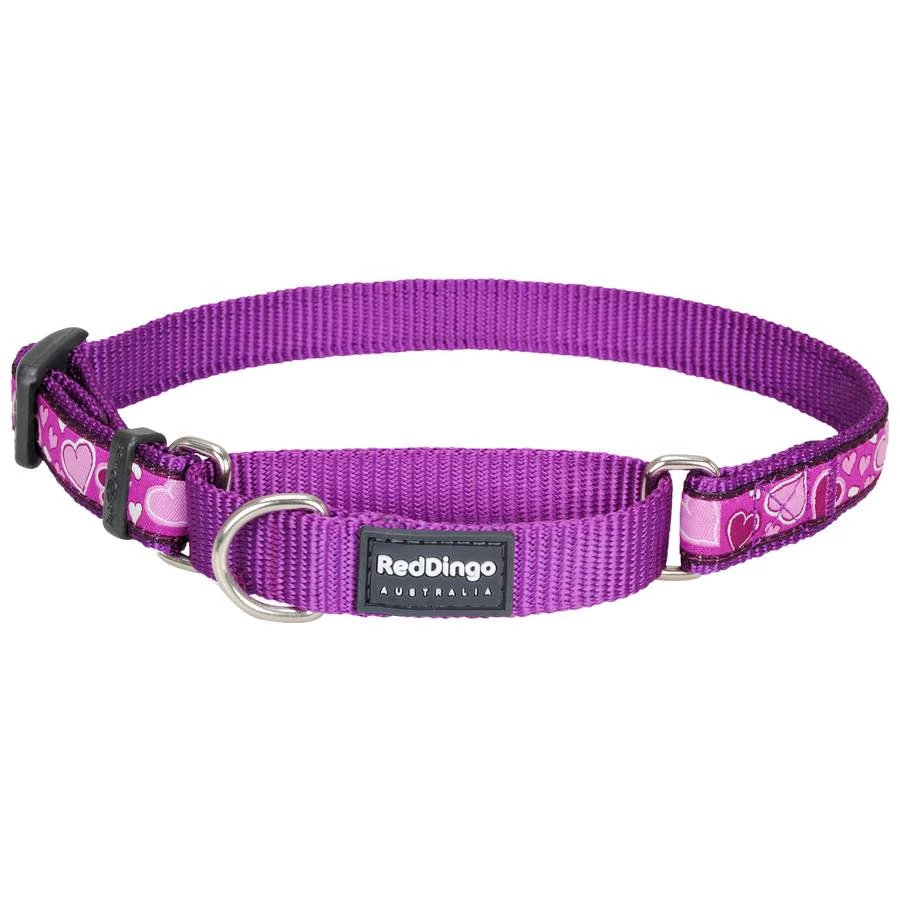 Red Dingo Breezy Love Purple Small Martingale nyakörv