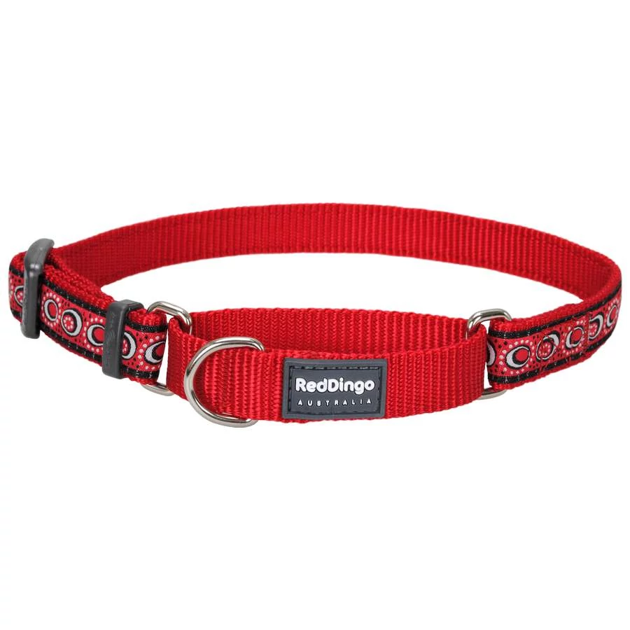 Red Dingo Cosmos Red Small Martingale nyakörv