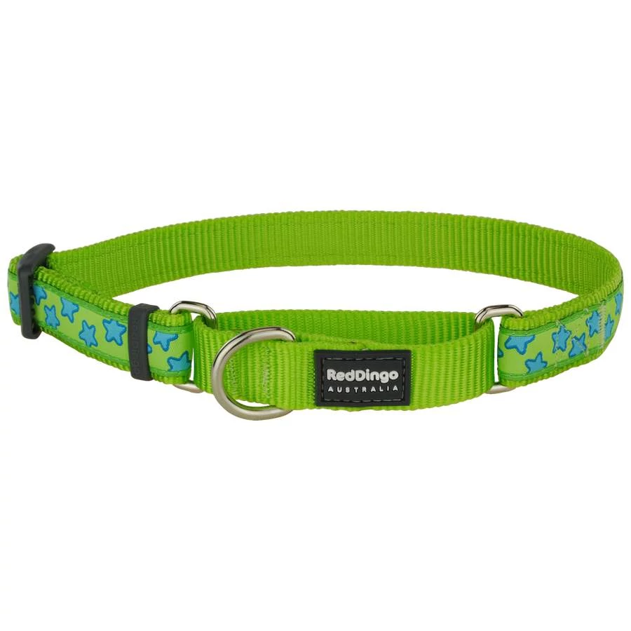 Red Dingo Stars Lime Small Martingale nyakörv