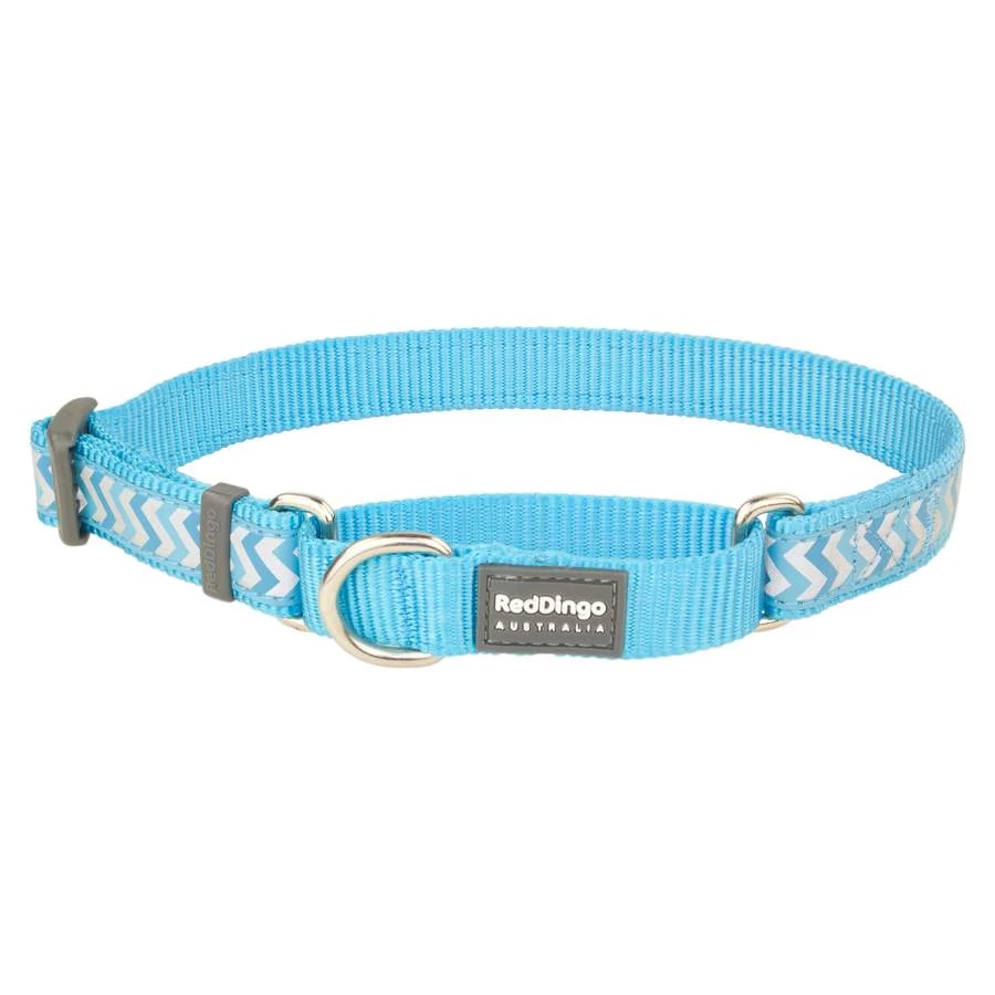 Red Dingo Reflective Ziggy Turquoise Small Martingale nyakörv