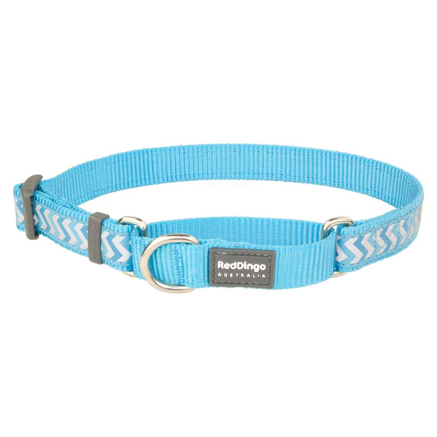 Red Dingo Reflective Ziggy Turquoise Small Martingale nyakörv