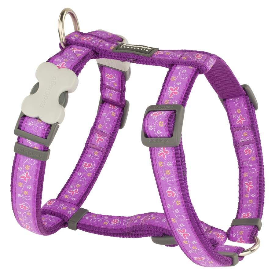 Red Dingo Butterfly Purple XS Dog hám