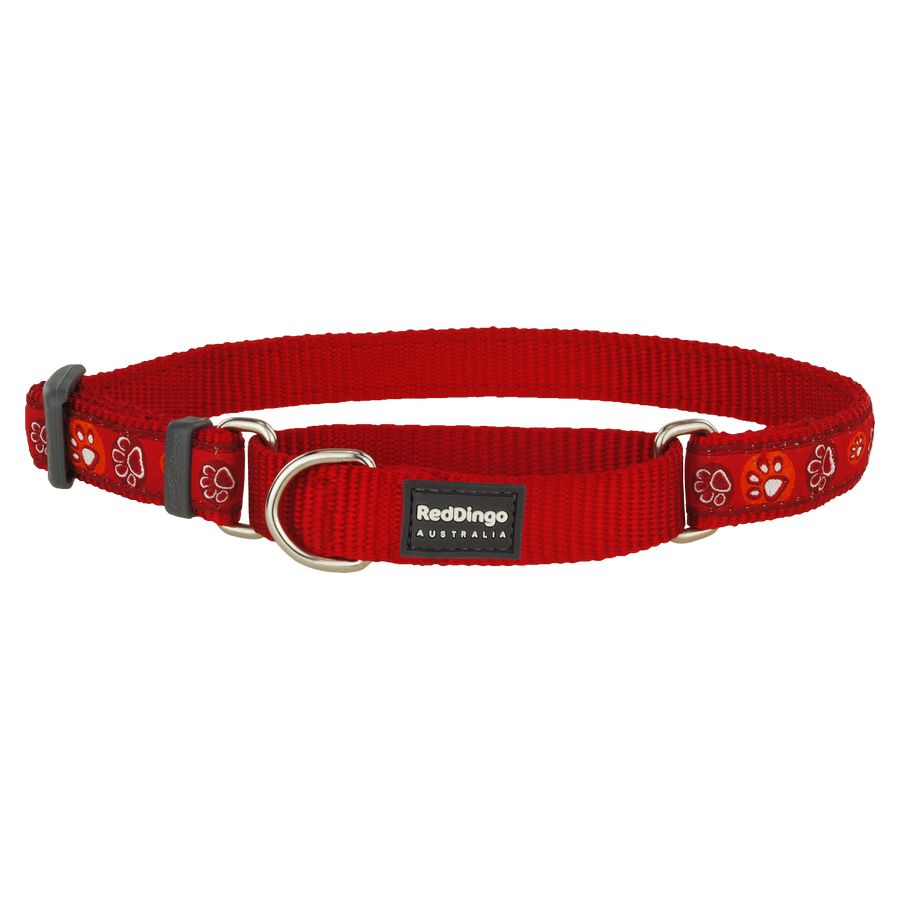 Red Dingo Paw Impressions Red Small Martingale nyakörv