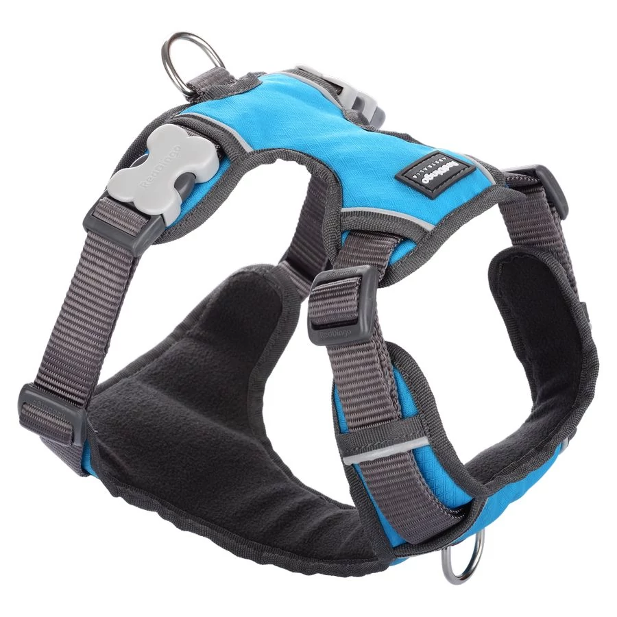 Red Dingo Padded dog hám XS Turquoise