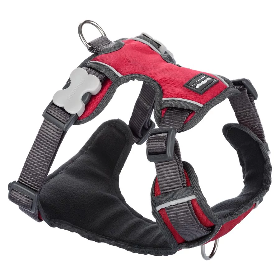 Red Dingo Padded dog hám Small Red