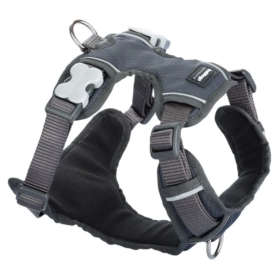 Red Dingo Padded dog hám XLarge Grey