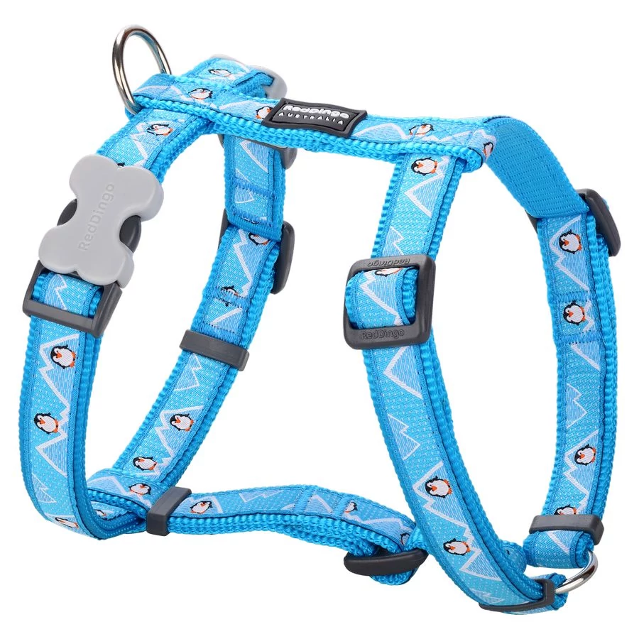 Red Dingo Penguin Turquoise XS Dog hám