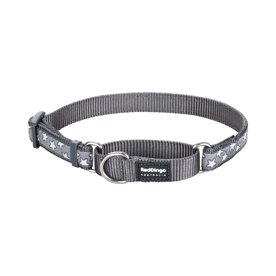 Red Dingo Stars Grey Small Martingale nyakörv