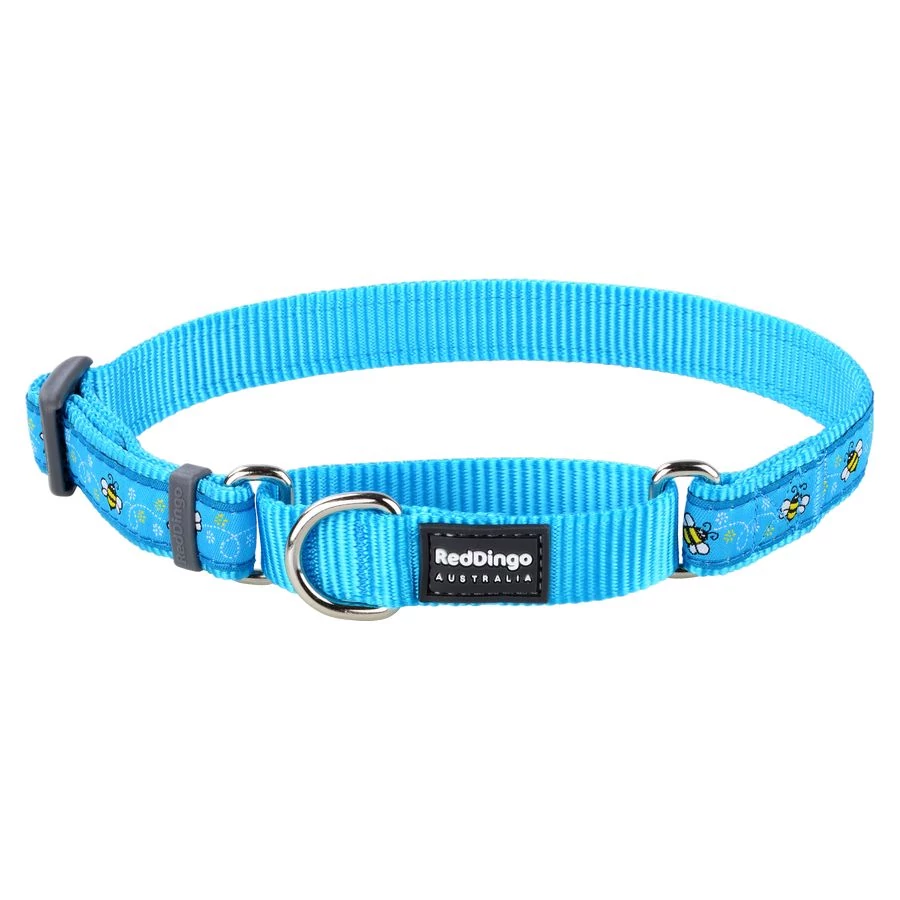Red Dingo Bumble Bee Turquoise Large Martingale nyakörv