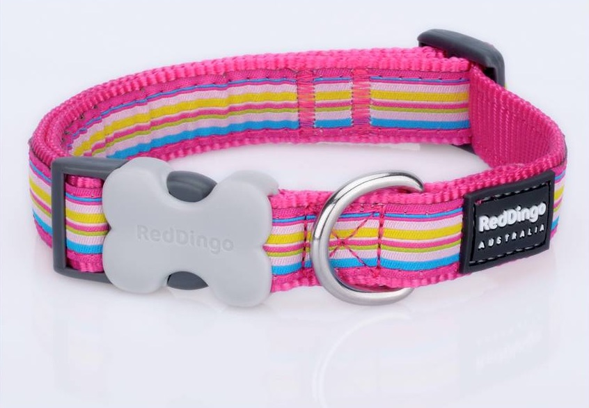 Red Dingo Horizontal Stripes Hot Pink Large kutya nyakörv