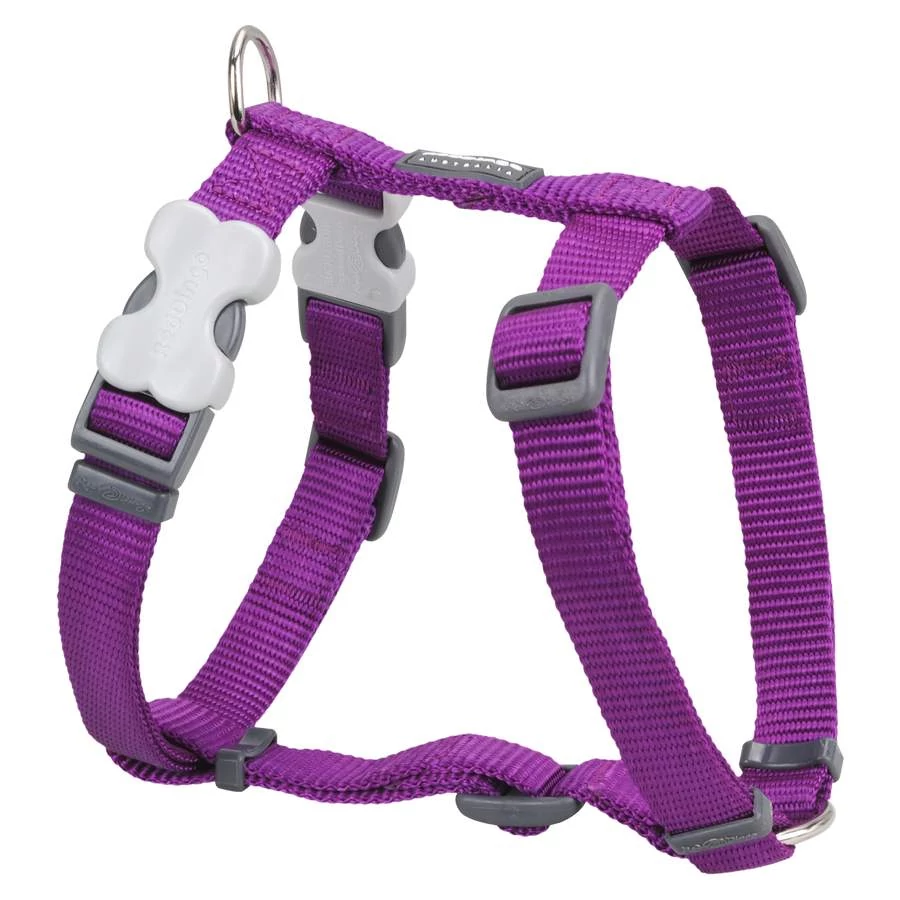 Red Dingo Purple XS Dog hám