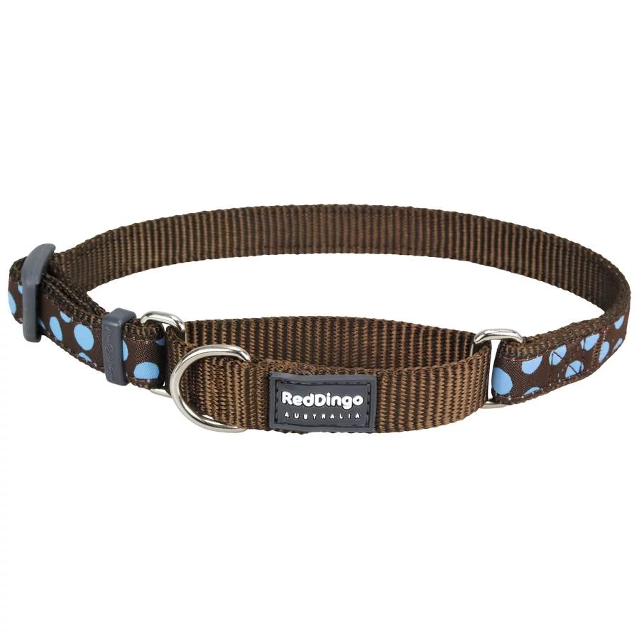 Red Dingo Blue Spots Brown Medium Martingale nyakörv
